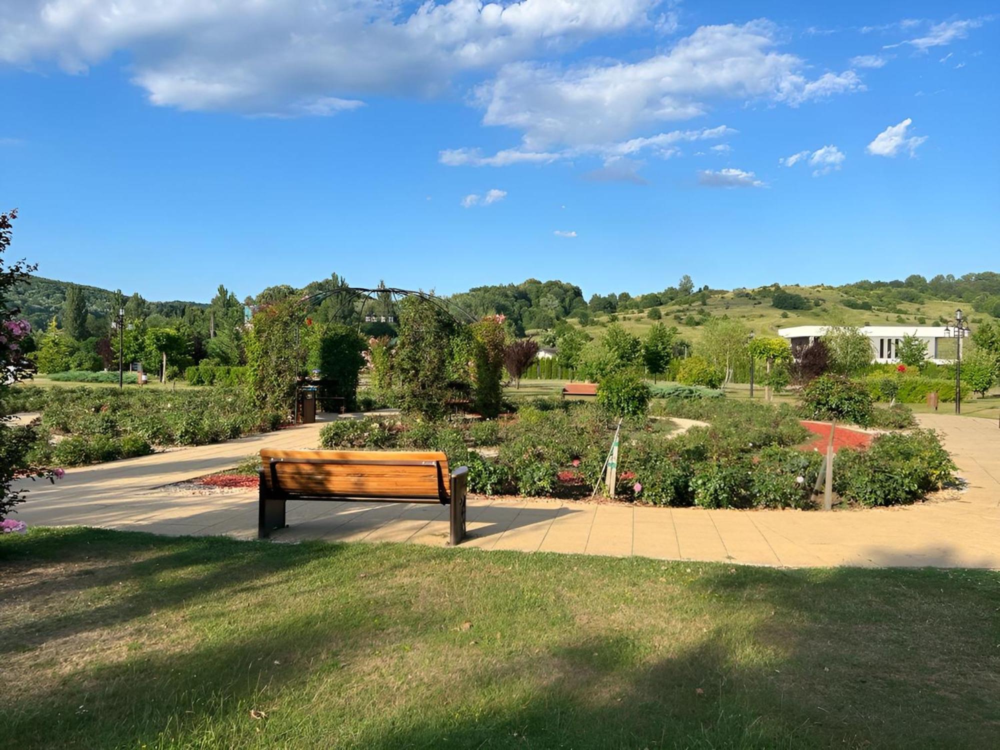 Vila Cu Mesteceni Campina Esterno foto