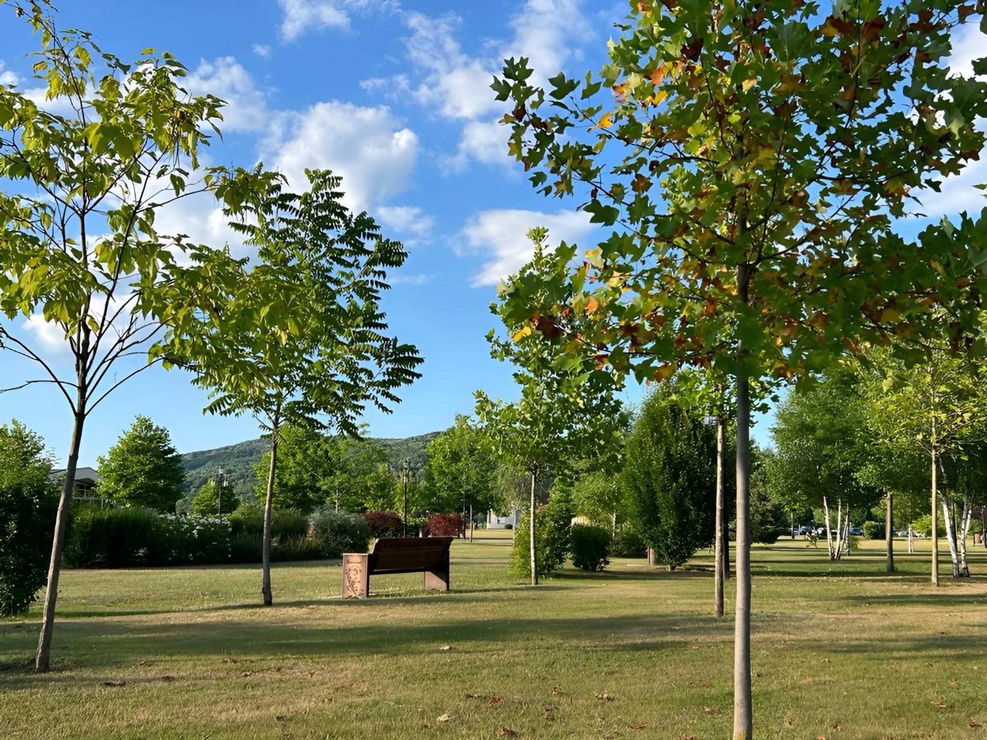 Vila Cu Mesteceni Campina Esterno foto